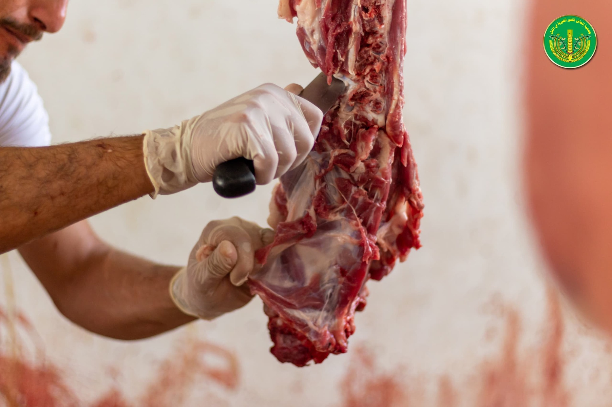 قامت جمعية إنعاش الفقير الخيرية بتوزيع " 4502 " قطعة لحم.